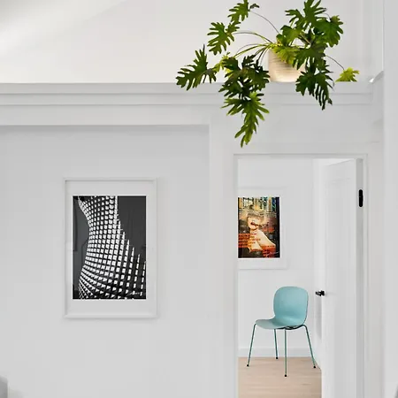 Elegant In Center, 11 *