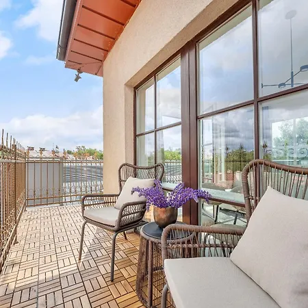 Elegant In Center, 11