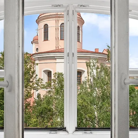 Elegant In Center, 11 Βίλνιους